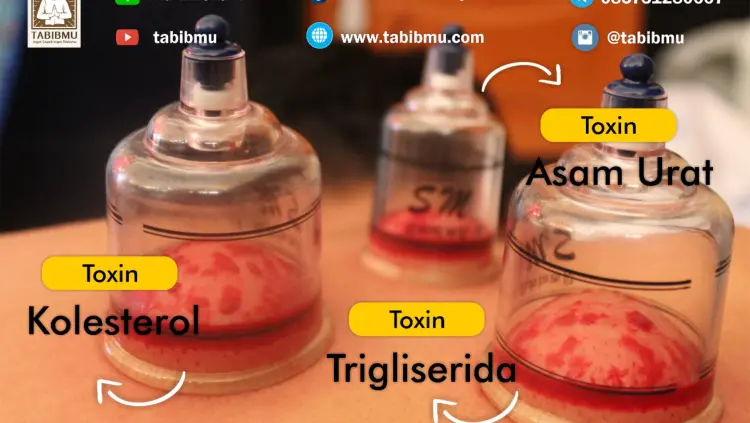 Klinik Terapi Tabibmu 1