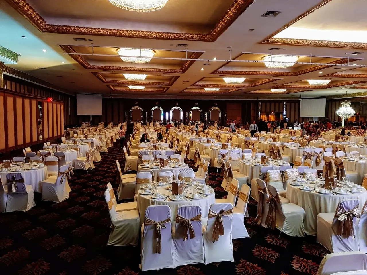 Solo's 24-Hour Dim Sum: A Legend or a "Price Assassin"? 4