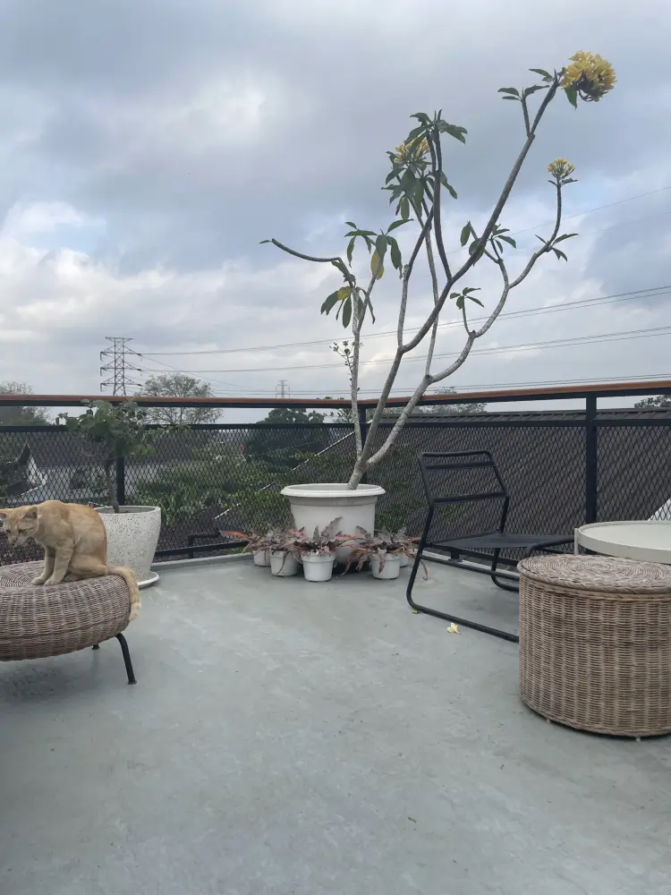 Cantine by Cendhani Raras 9