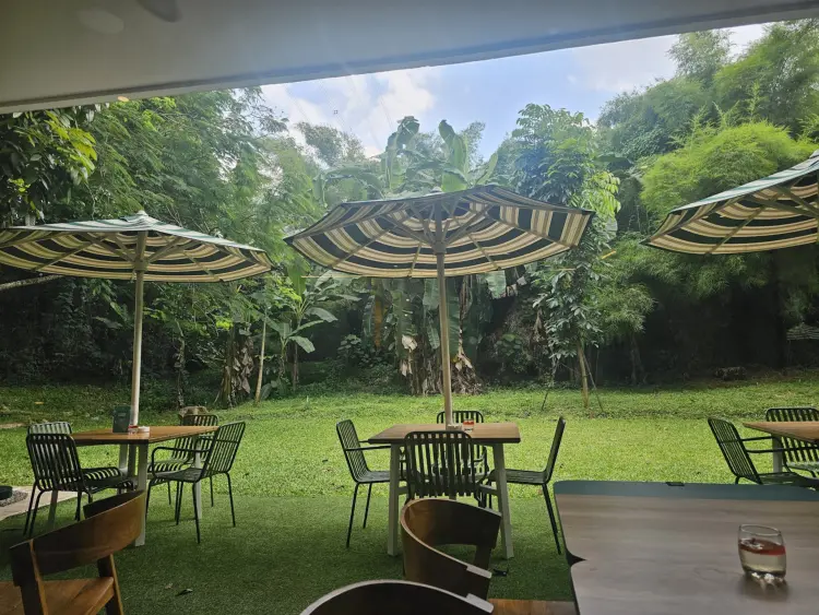 Green Fox (Coffee•Kitchen•Gelato) 3