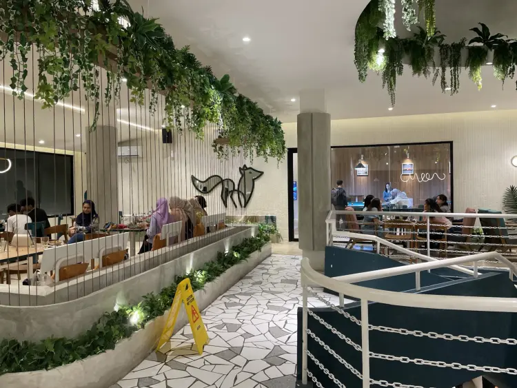 Green Fox (Coffee•Kitchen•Gelato) 9