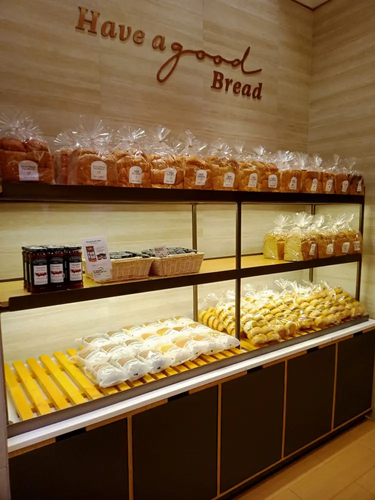 Tous Les Jours CSB 2