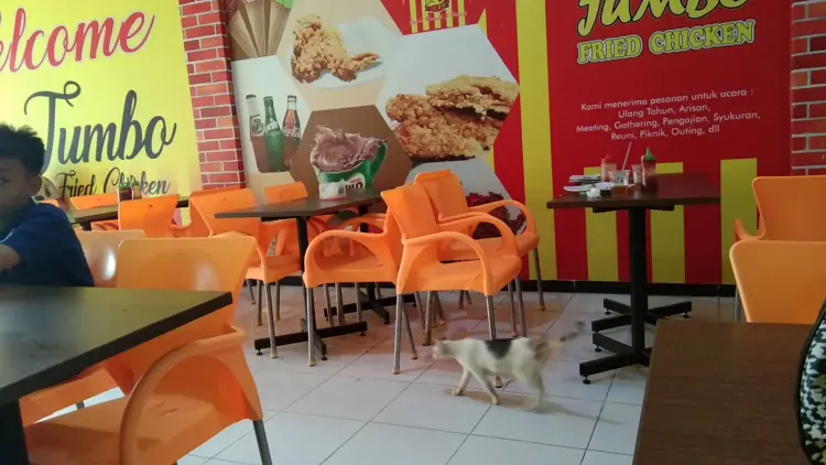 Jumbo Fried Chicken 2