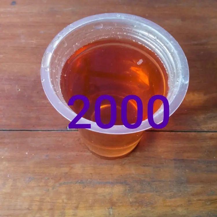 Ayam Geprek Ruby Surya M S Family 2