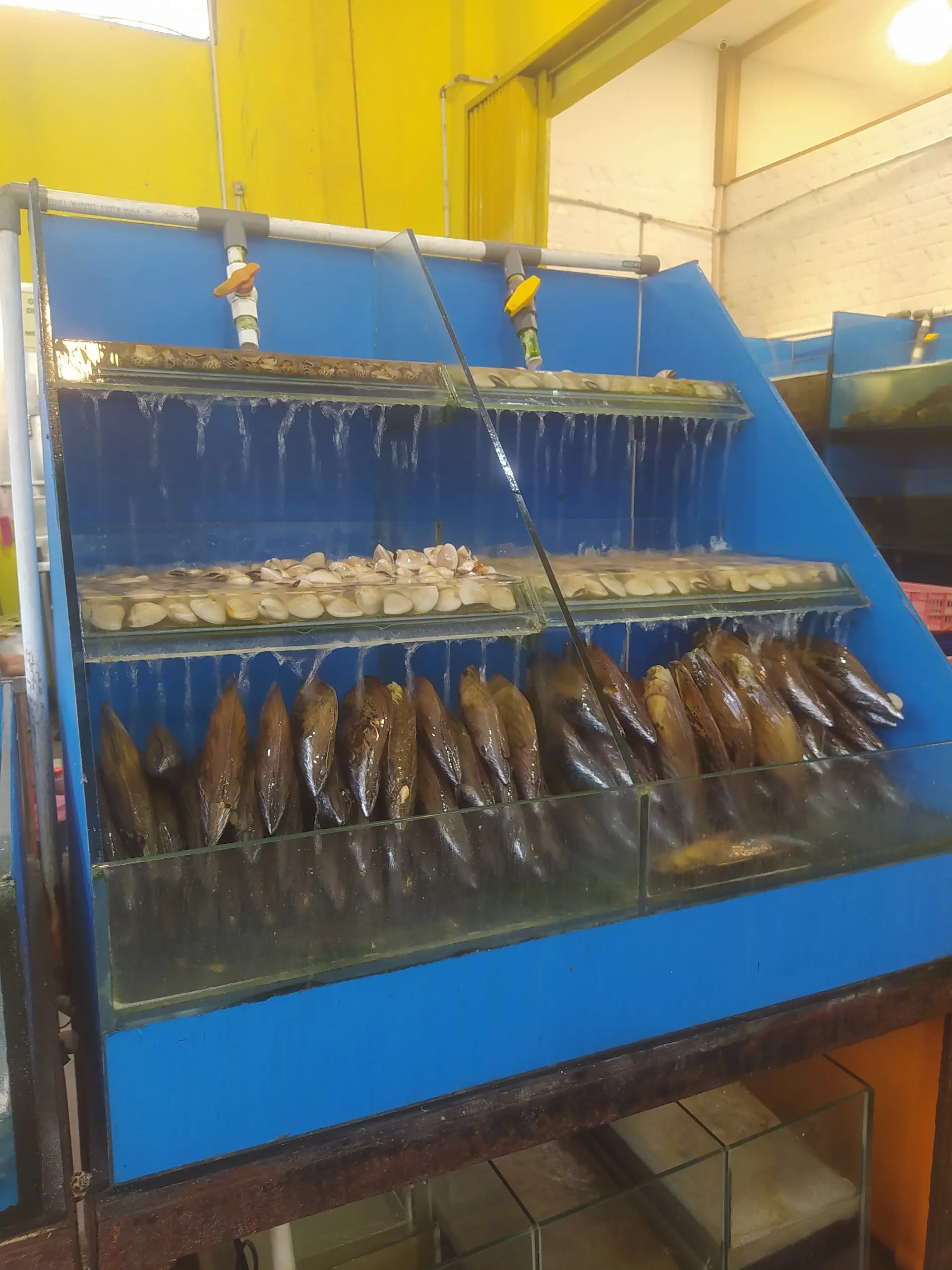 雅加达海鲜排队王，好吃是真好吃，但服务员想跟我干架也是真的… 1