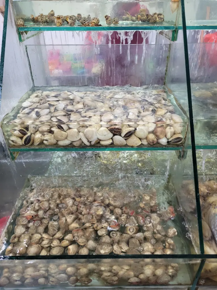 Little Bahari Seafood & Ikan Bakar 7