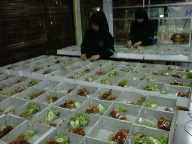 Bebek vs Ayam Ibu Rini 10