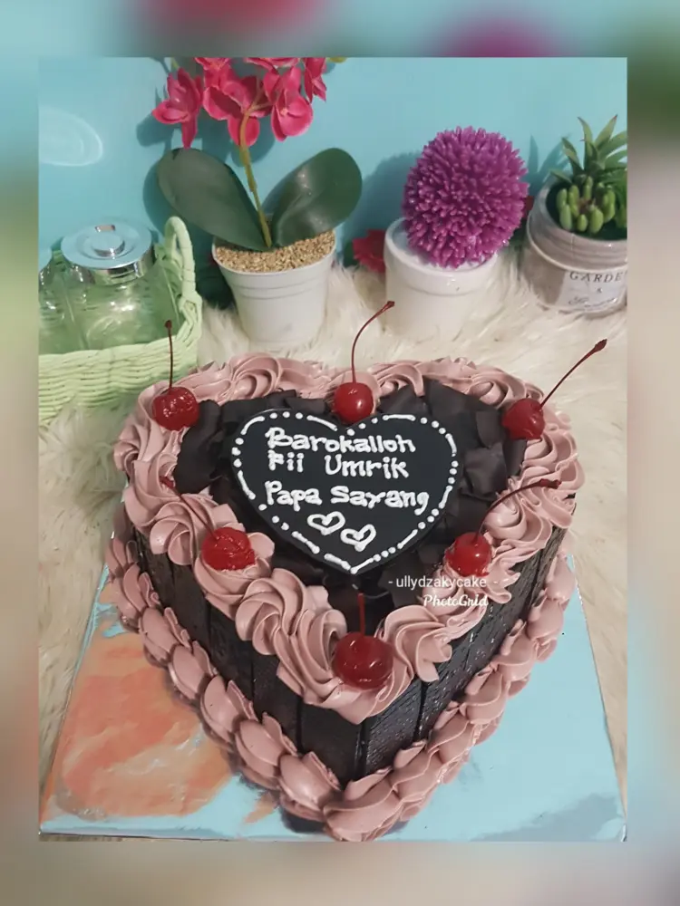 Ullydzakycake 4