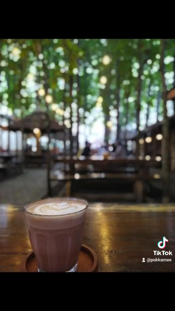 Kebun Latte 3