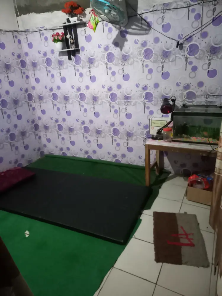 Pijat Refleksi Dan Capek 1