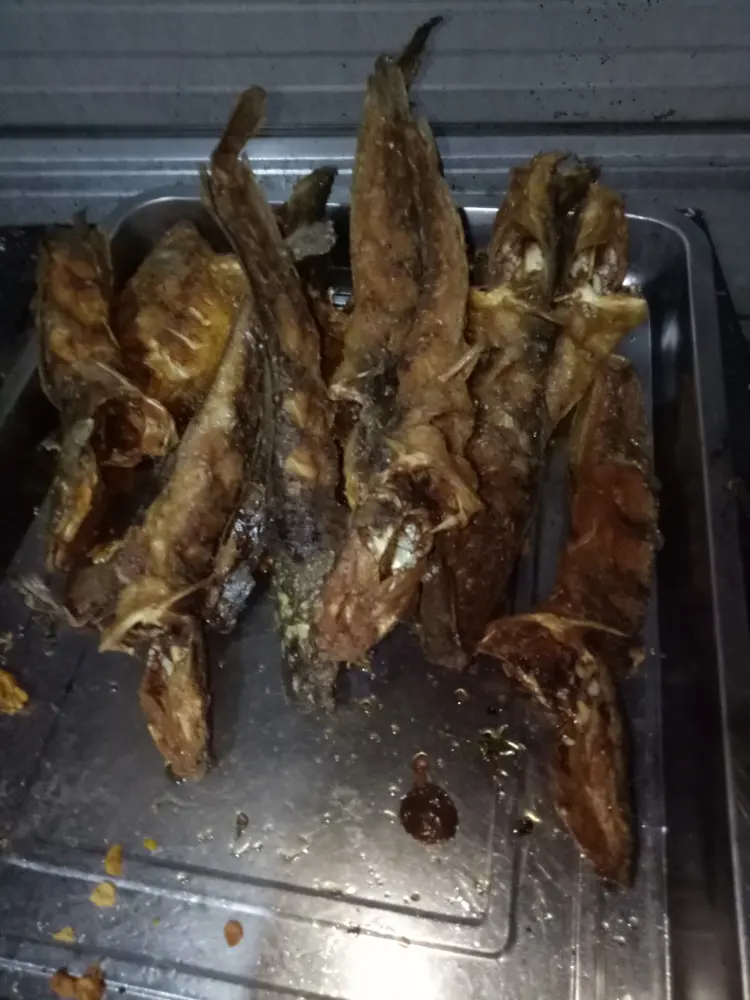 Pecel lele mbak Rina 9