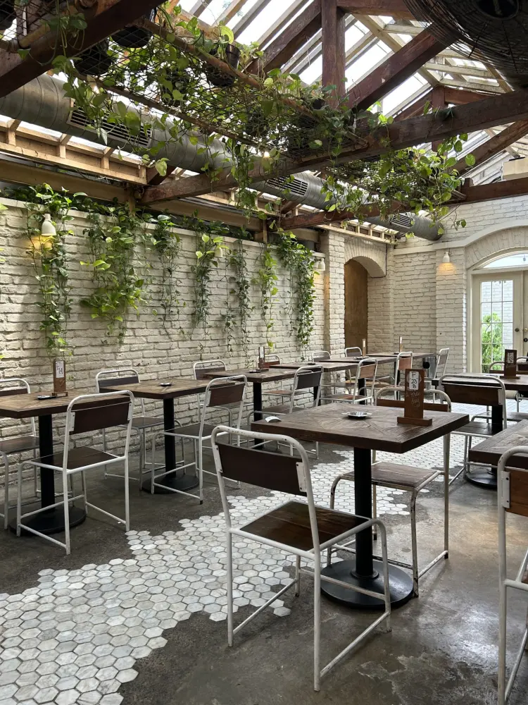 Lucky Cat Coffee & Kitchen 10