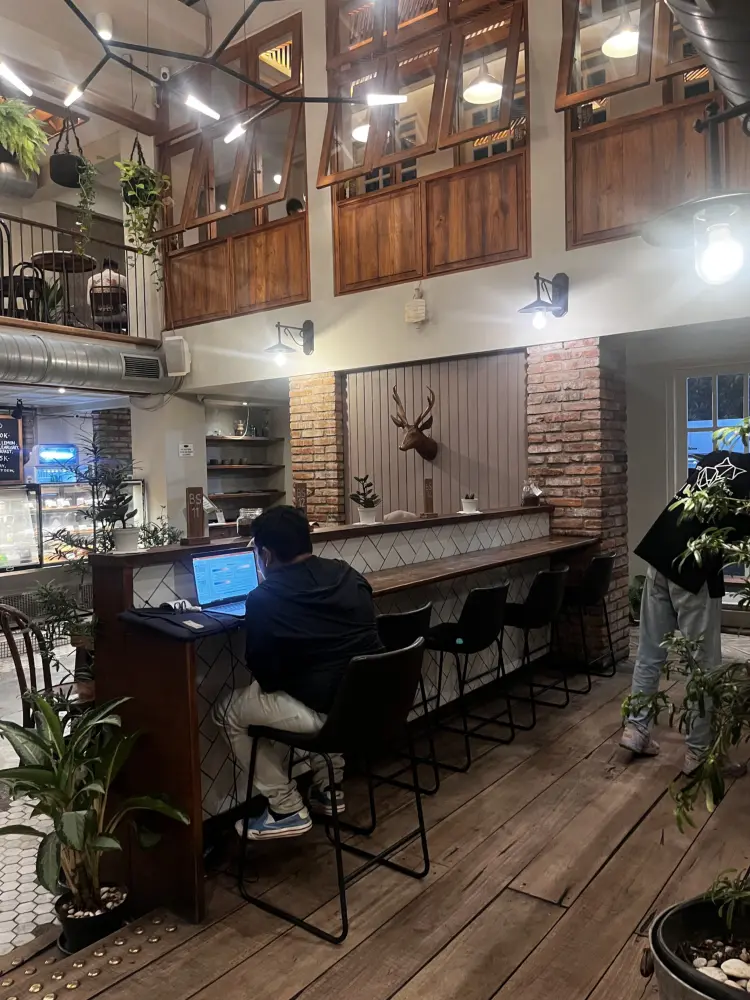 Lucky Cat Coffee & Kitchen 8