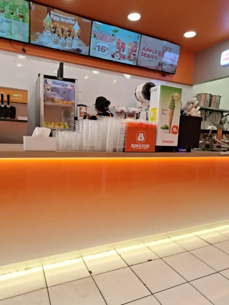 BINGXUE taman palem lestari 3