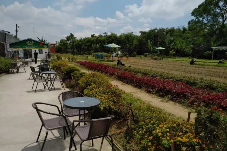 Kedai Kopi Kebun Cemara Asri 7