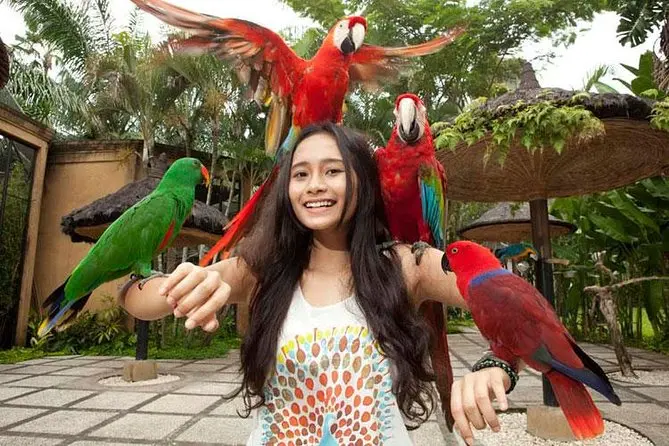 Bali Bird Park 1