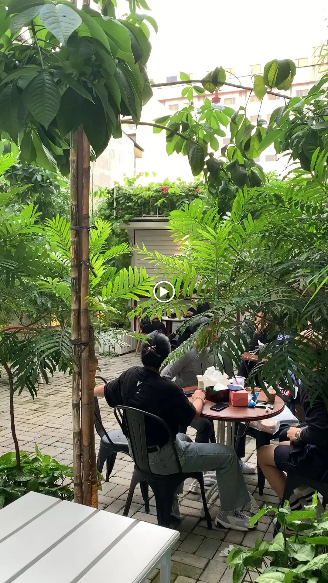 棉兰WFC党请进!这扇黄门背后,居然藏着一座秘密花园 3