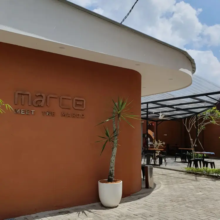 MARCO COFFEE ( MEET THE MARCO ) 1