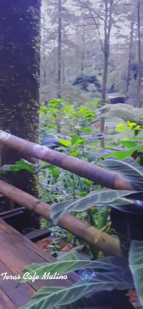 Warkop Modern Teras Malino 7