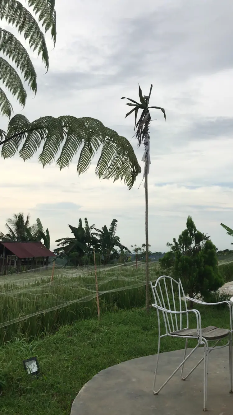 Kaki Langit Coffee 2 8