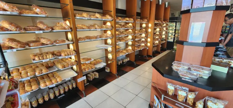 Wonder Bakery Solo 4