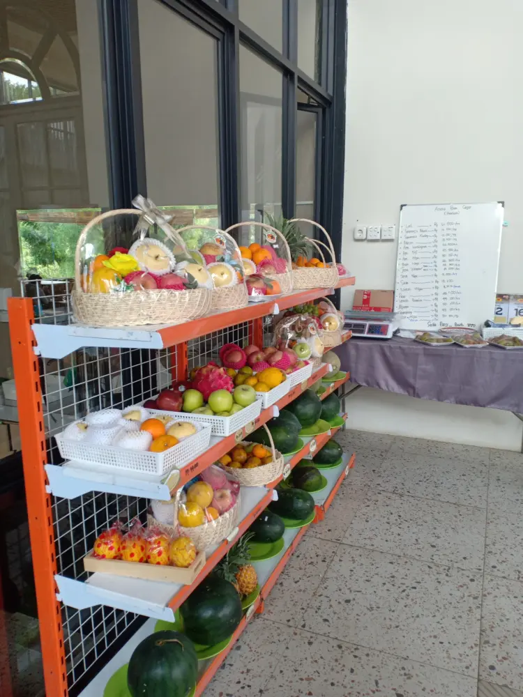 Ocean Garden Tepi brantas Kepanjen 2