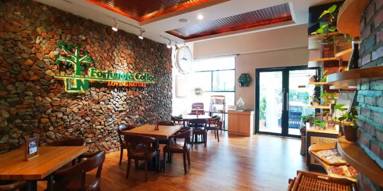 Fortunate Coffee Orchard 7