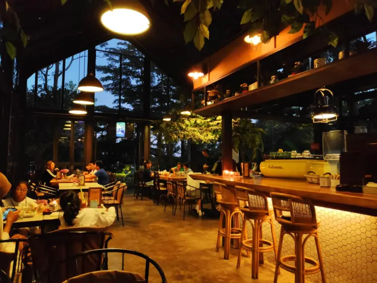 Miss Bee Providore 4