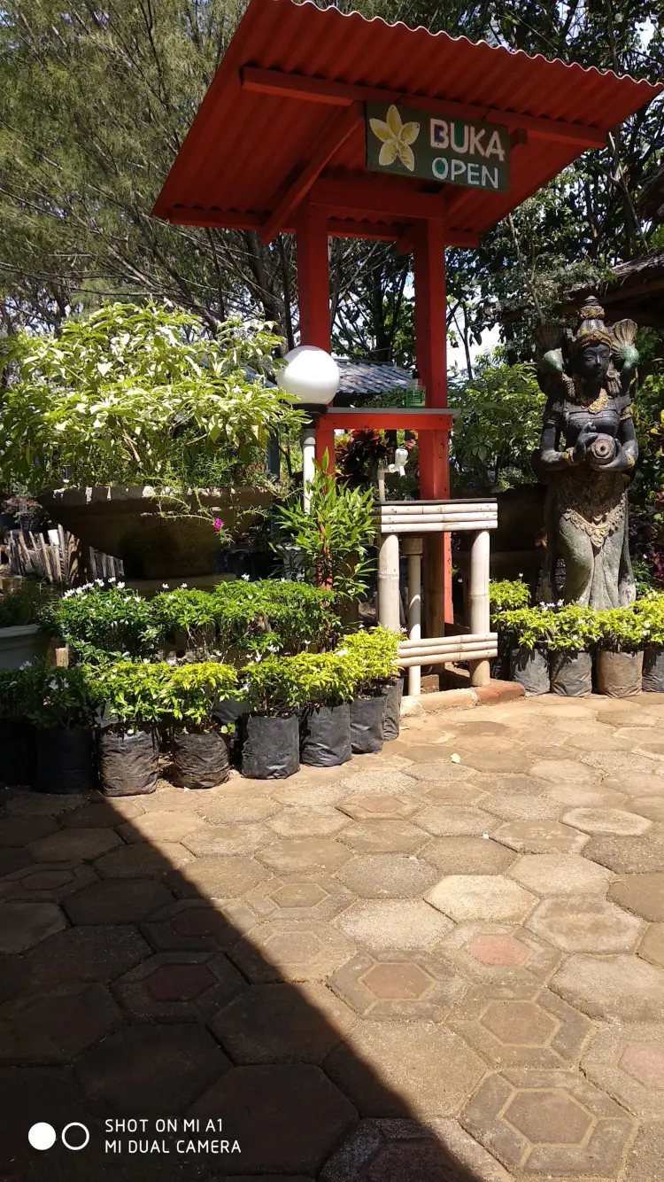 CAFE PLANET SEAFOOD SIGANDU 1