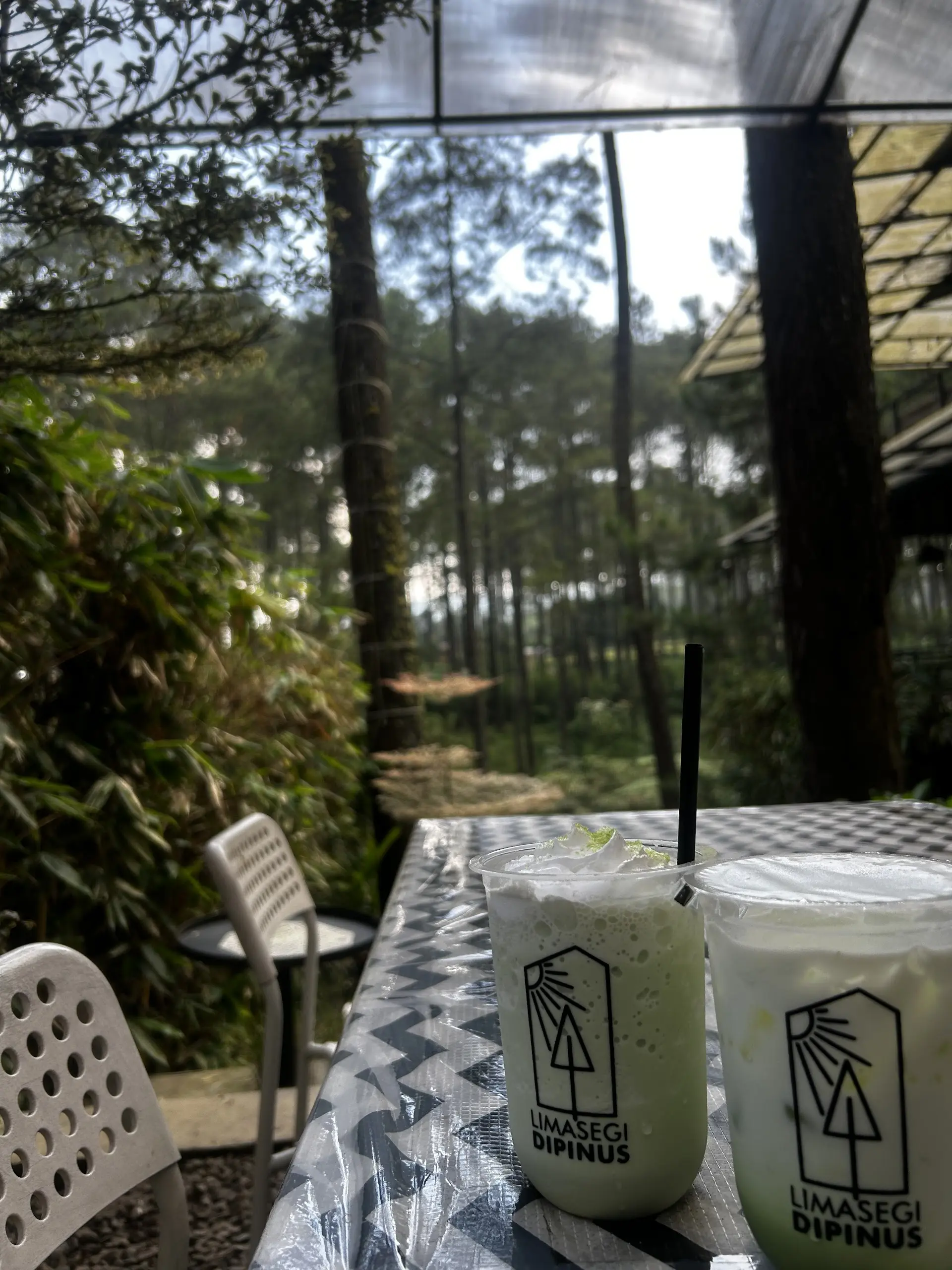 谷歌4.9分的松林咖啡馆，除了拍照还剩下啥？ 7