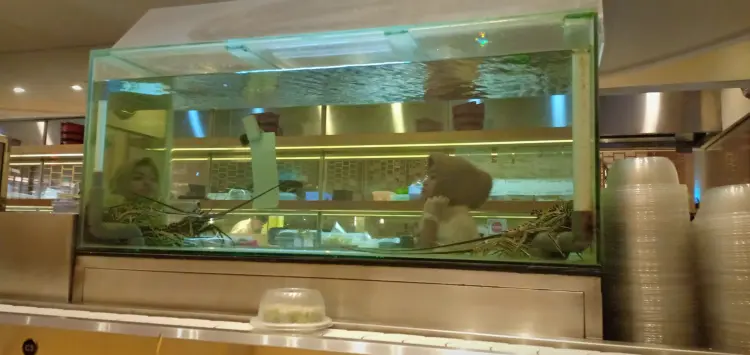 Sushi Tei Summarecon Mall Bekasi 8