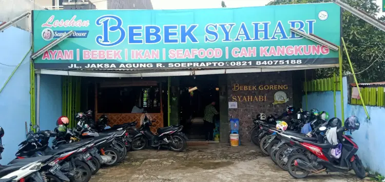 Bebek Syahabi Bukit 1