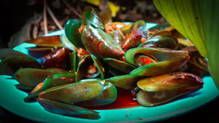 Dapur Kedai Tutut dan Seafood 1
