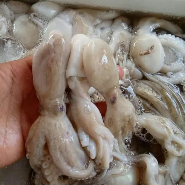 Dapur Kedai Tutut dan Seafood 3