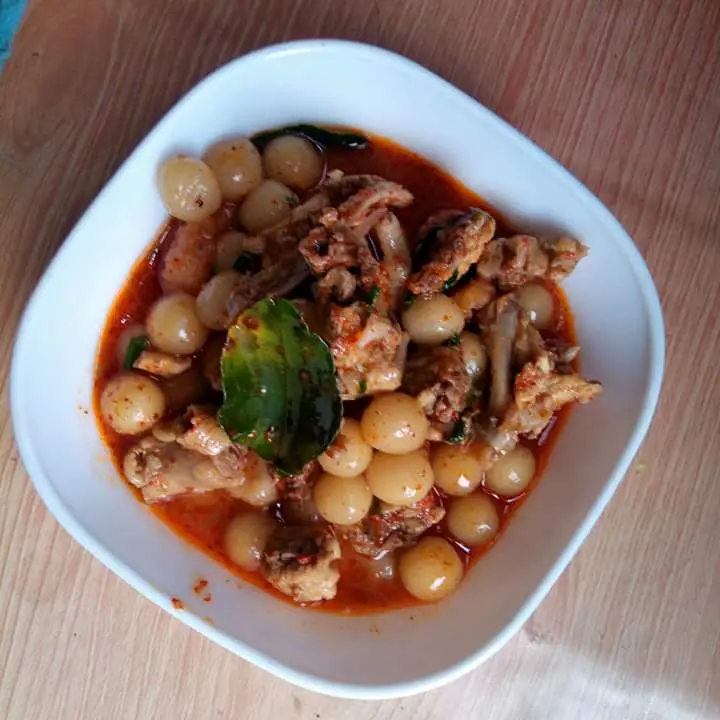 Bacil Geboy kondangrege 4