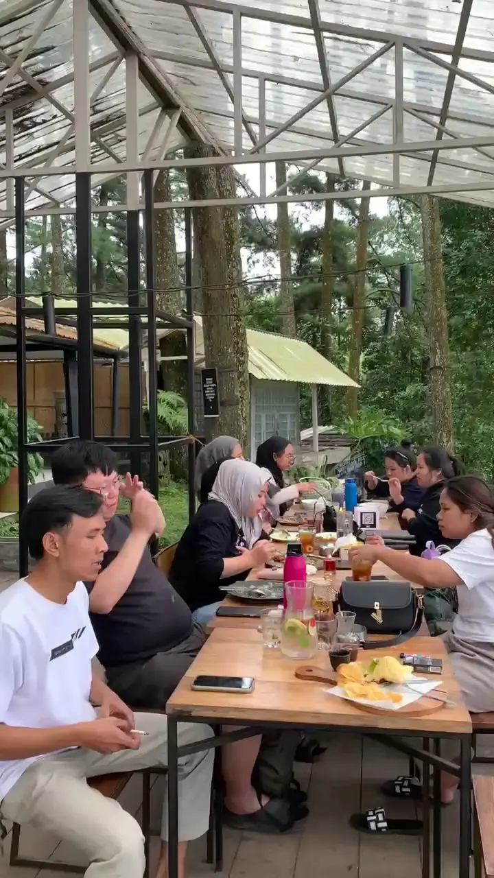 Can I forgive the food's 'little temper' for this pine forest mountain view? 6