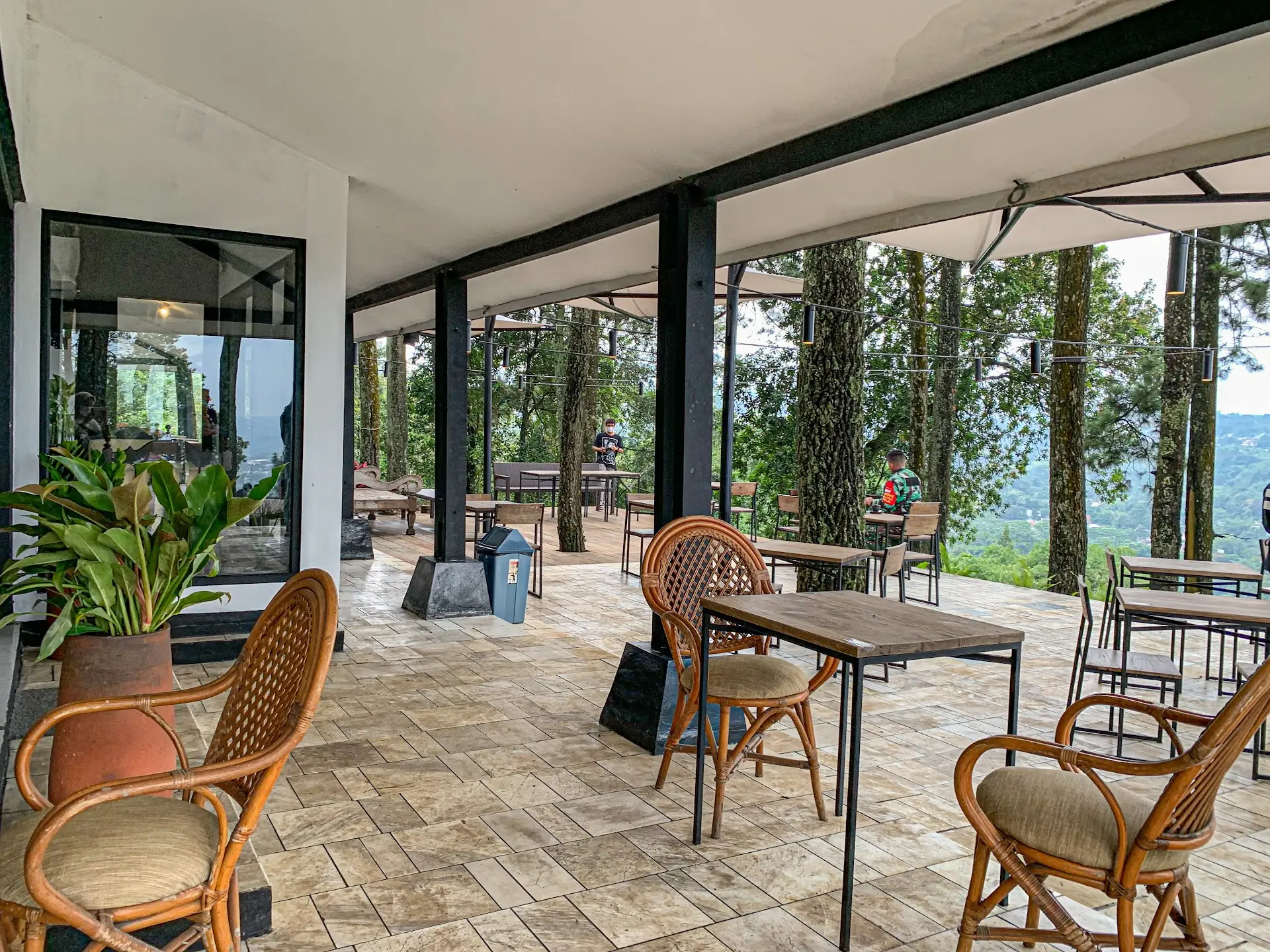 Can I forgive the food's 'little temper' for this pine forest mountain view? 1