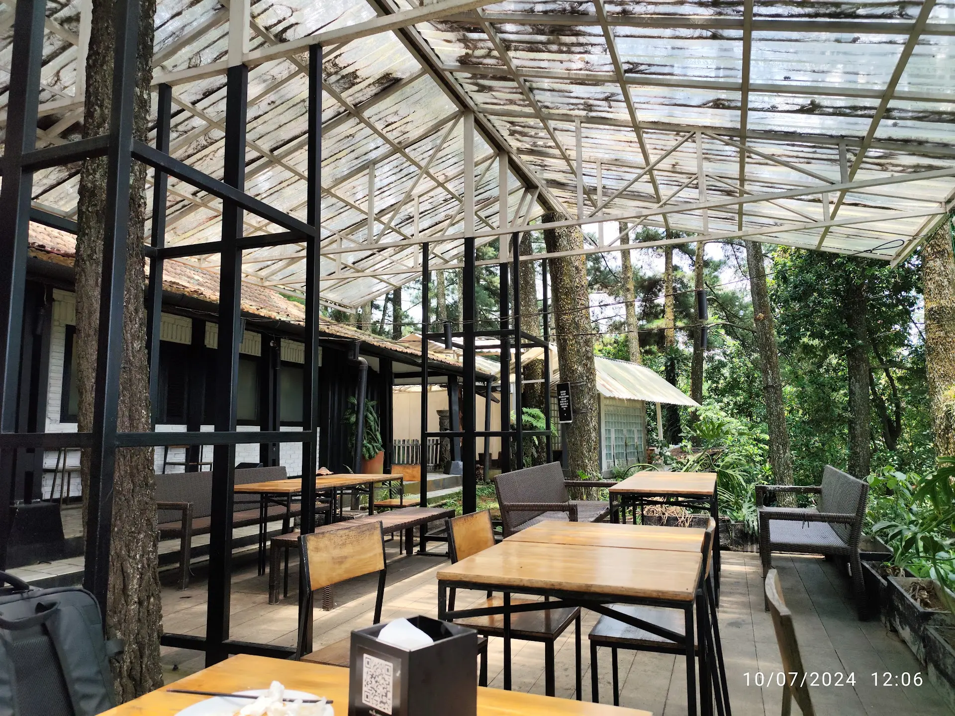 Can I forgive the food's 'little temper' for this pine forest mountain view? 4