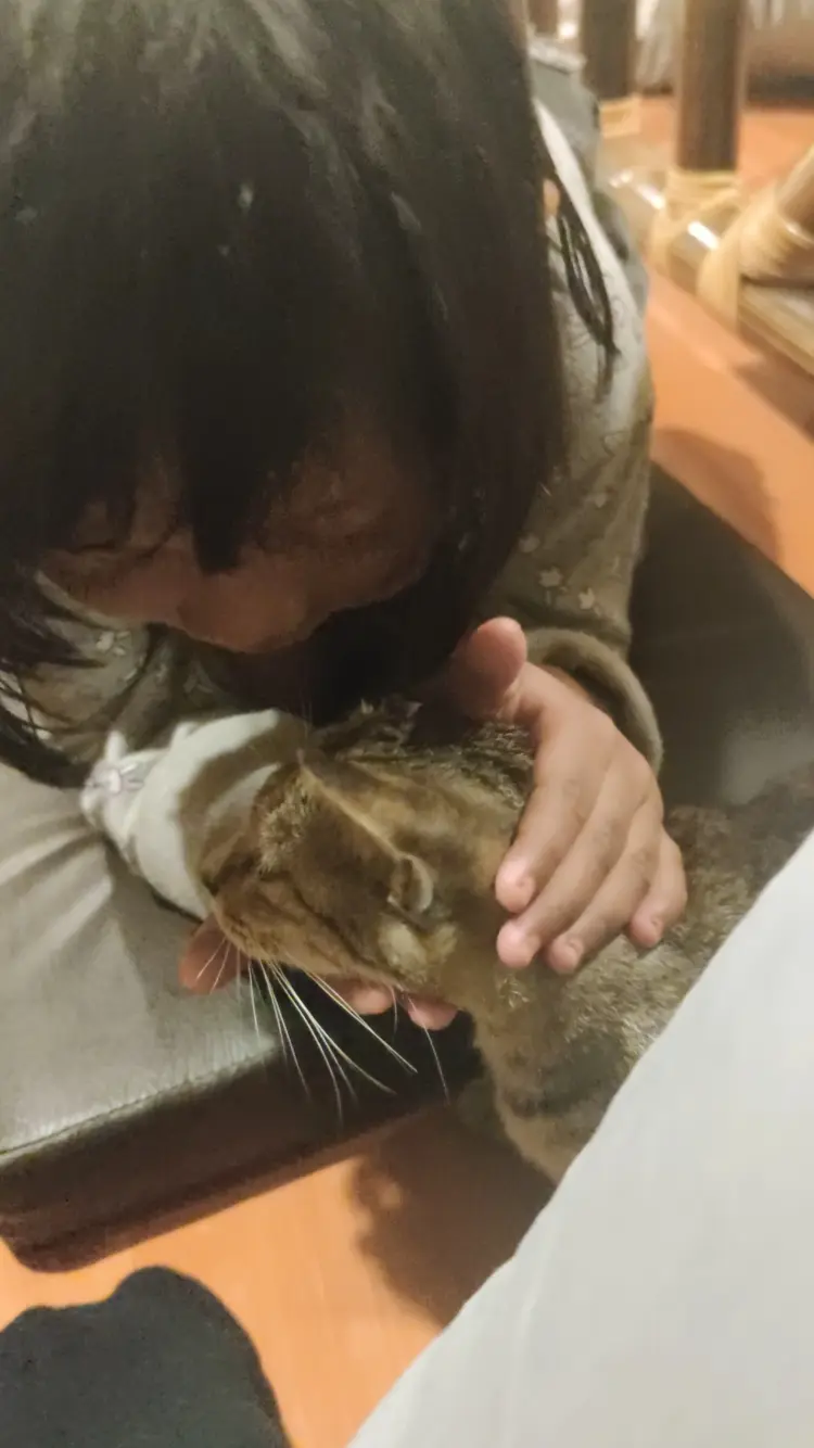 Kampung kecil kenten 10