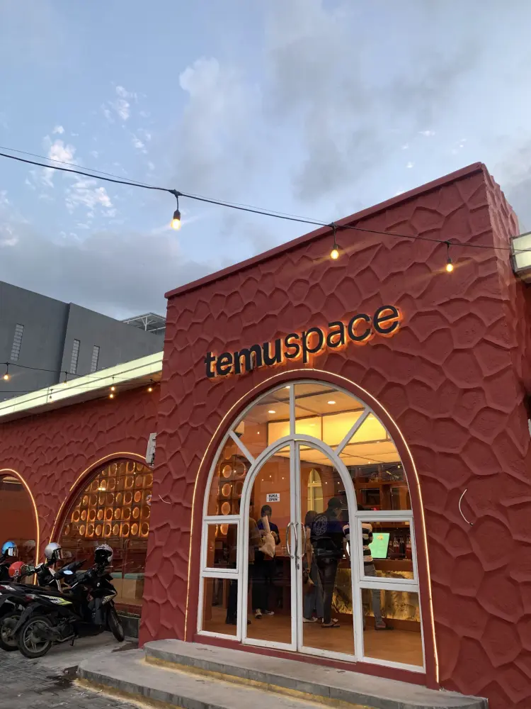 Temu Space 1