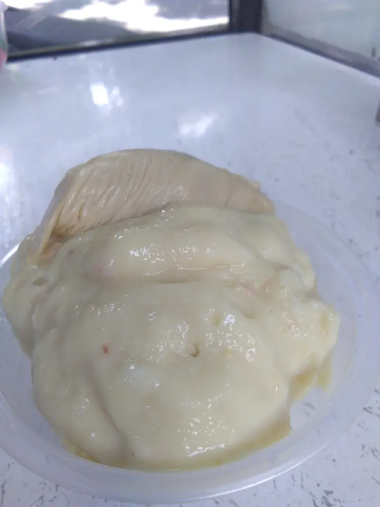 Pakuan Esdurian 2