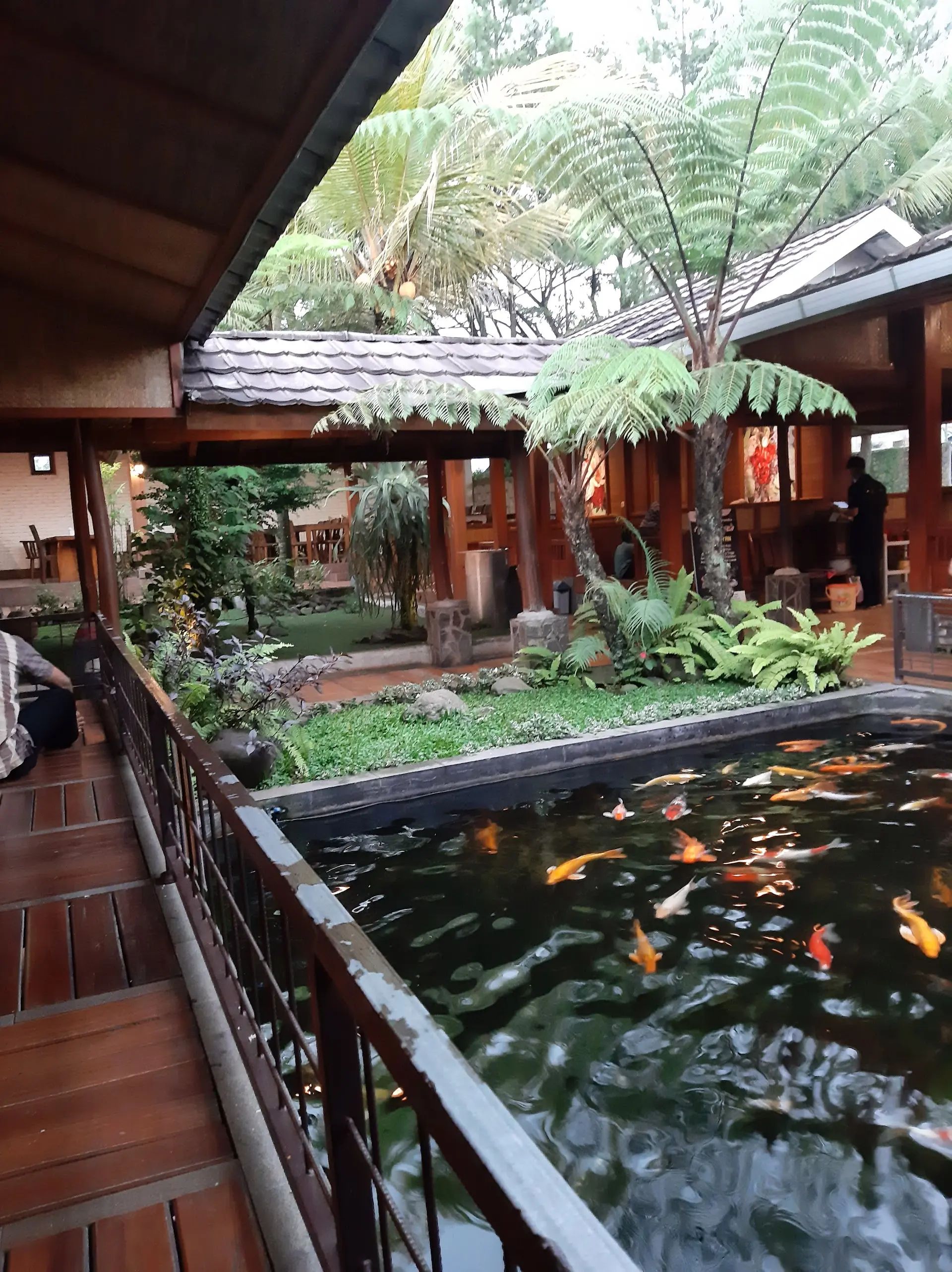 带娃党集合!加鲁特这家能稻田里划船吃饭的餐厅,优缺点都帮你扒干净了 3