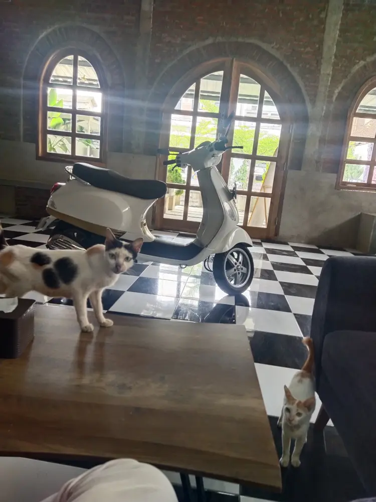 Kopi Susu Baper Metro 6