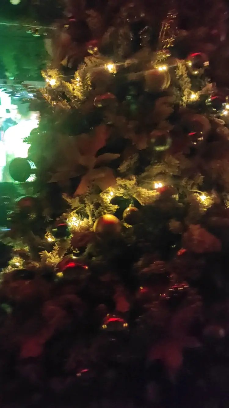 Pavvo Kitchen Bar & Lounge 10