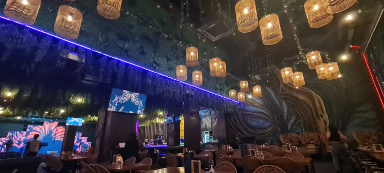 PIK's Peacock Bar: Half Stunning, Half a Nightmare. I've found the red flags for you.