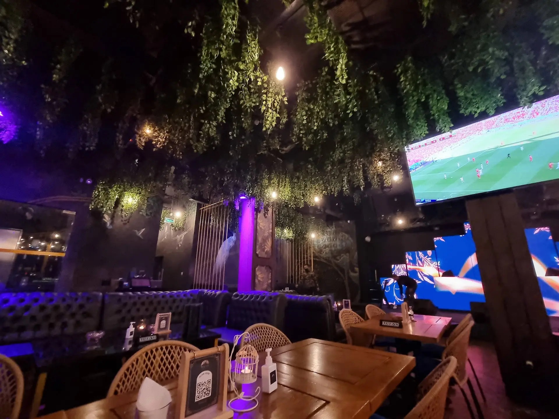 PIK's Peacock Bar: Half Stunning, Half a Nightmare. I've found the red flags for you. 3