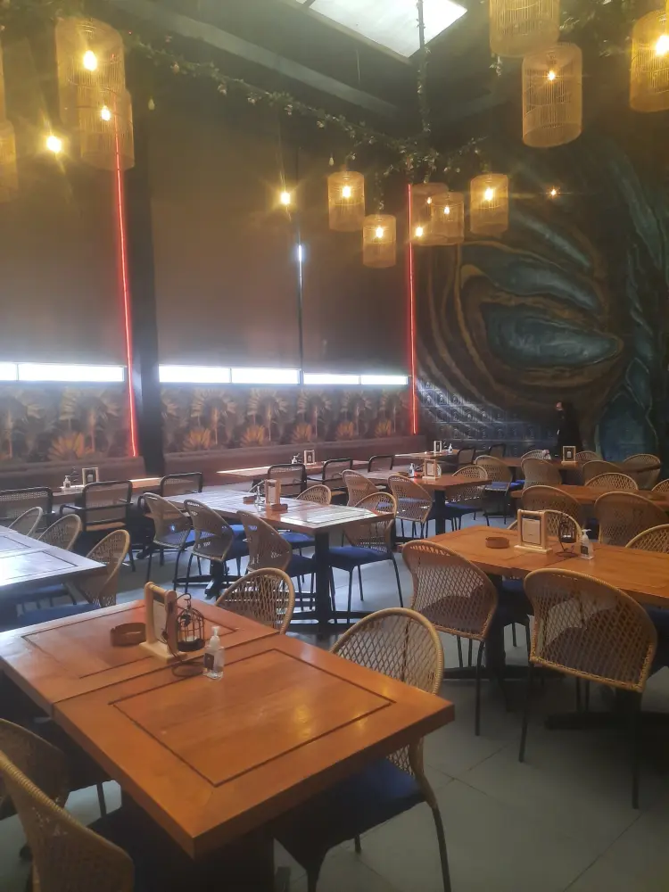 Pavvo Kitchen Bar & Lounge 5