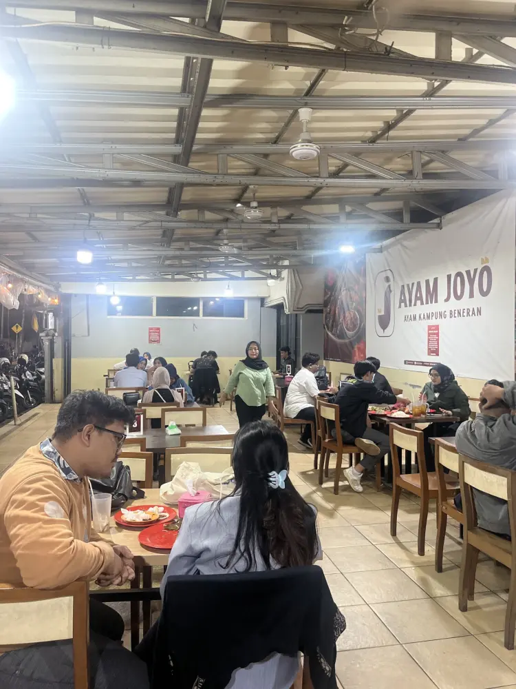 Ayam Joyo Cempaka Putih 3