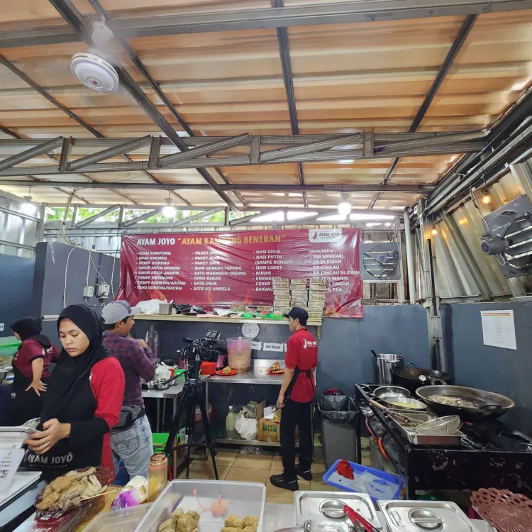 Ayam Joyo Cempaka Putih 2