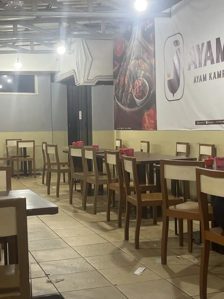 Ayam Joyo Cempaka Putih 4